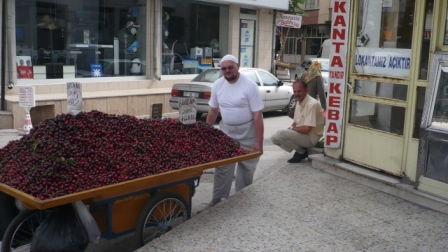 Антон Викторович Прилепский