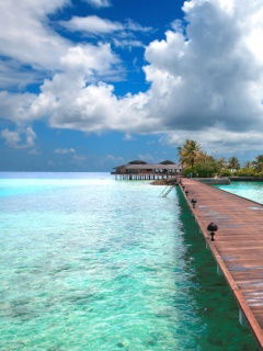 Димаш Медешов