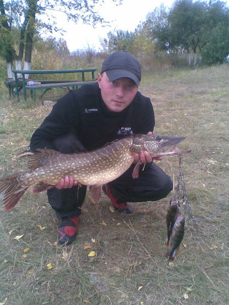 Андрей Малов