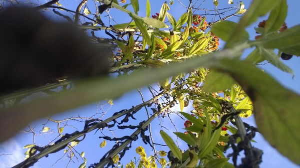 Юлия Баяндина