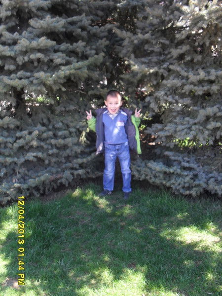 Александр Талин