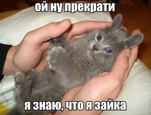 Алена Зайцева