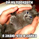 Алена Зайцева