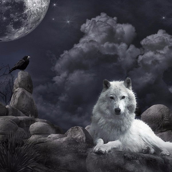 Андрей Яркин