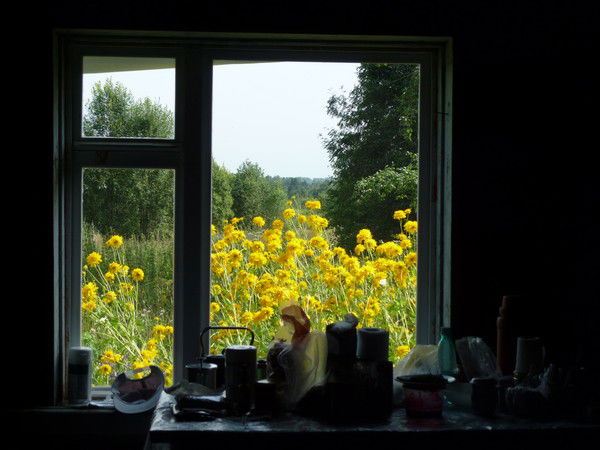 Тищенко Наталья