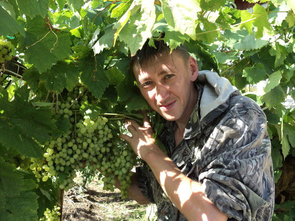 Алексей Главатских