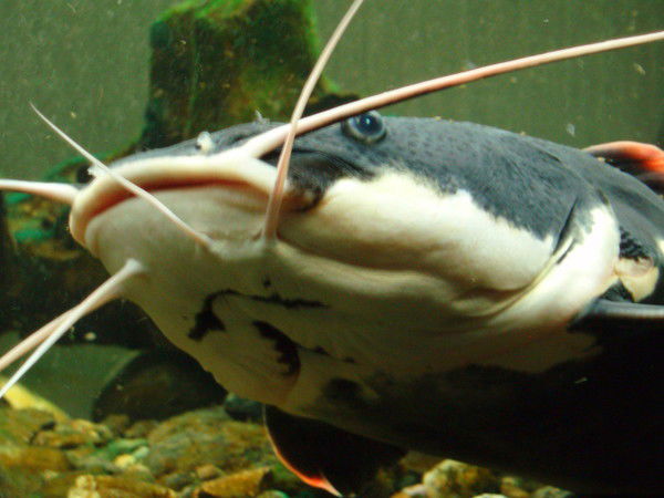 Михаил Прохоренко