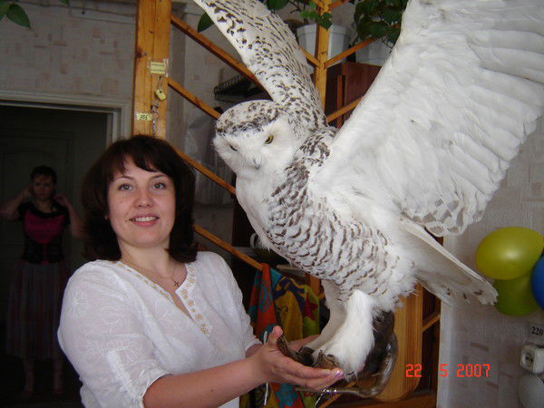 Елена Майкова