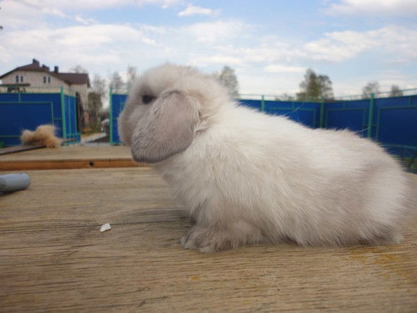 Татьяна Белугина