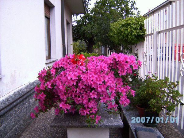 Зубаирова Зайтуна