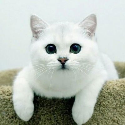 Катя Мухлынина