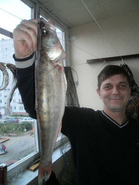 Александр Сергеевич Широких