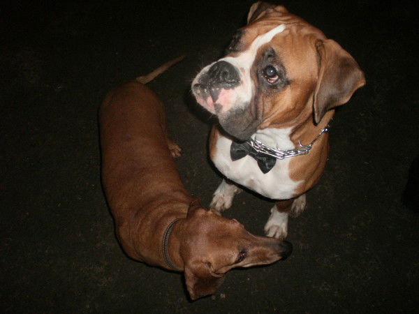 Ирина Кузьменко