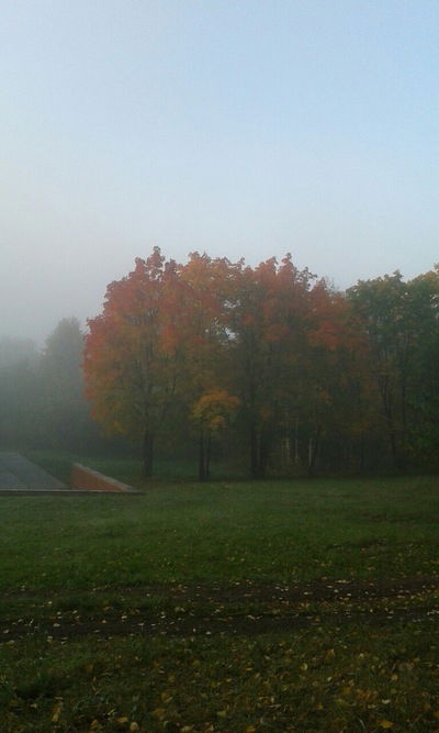 Артём Антонов