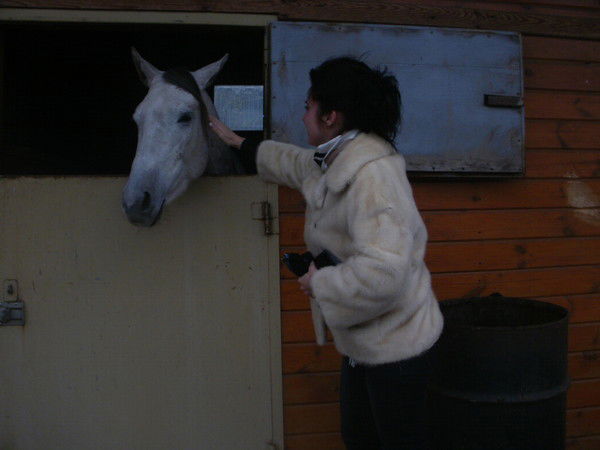 Елена Суркова