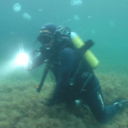 Александр Калиуш