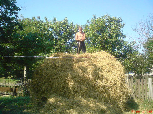 Алексей Киренкин