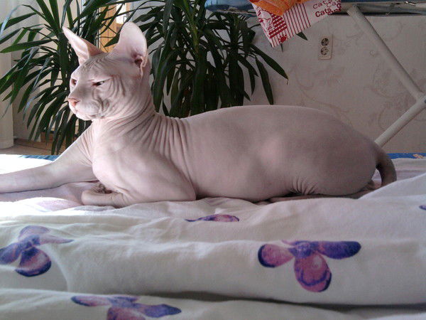 Настя Ткаченко