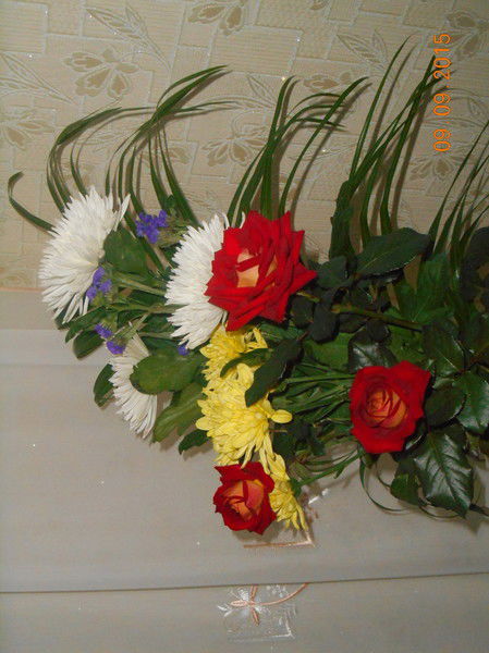 Вера Масякина