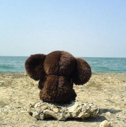 Жанна Канзафарова