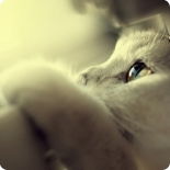 Ольга Даниленко