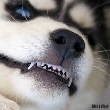 Арман Базекенов