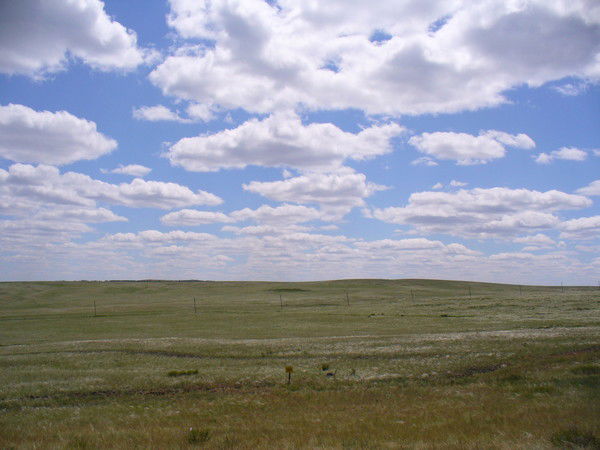 Светлана Падерина