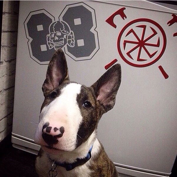 Вадим Репецький