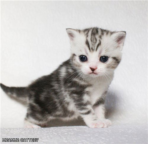 Ярослава Смазнова