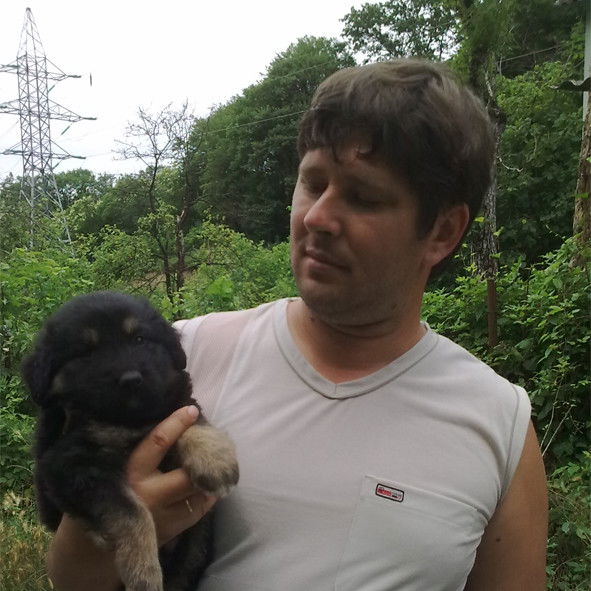 Андрей Чмелёв