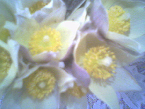 Ольга Бабичева