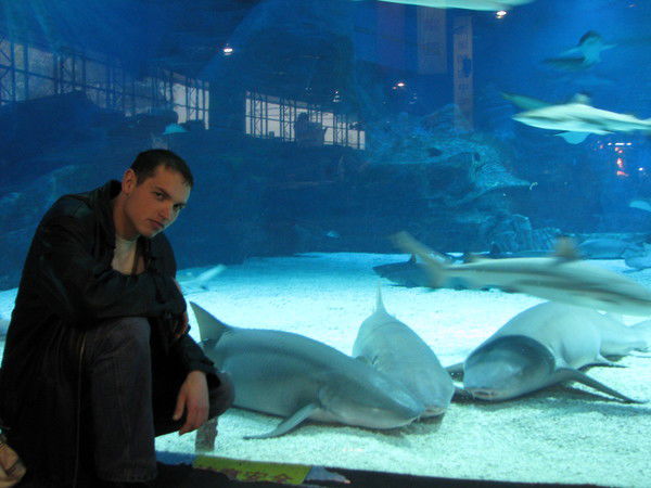 Александр Сизоненко