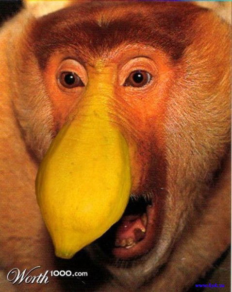 Кот Матроскин