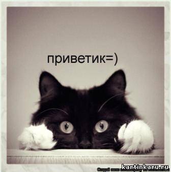 Анастасия Гончар