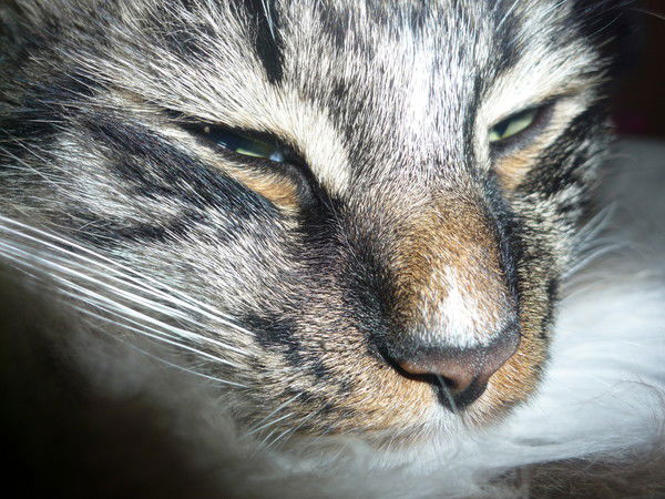 Наталья Наталья