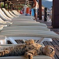 Максим Каиров