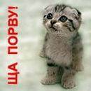 Валерий Козионов