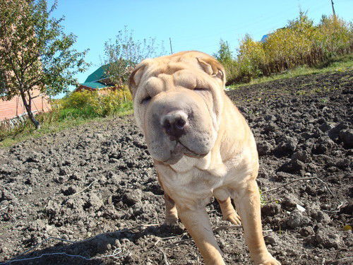 Татьяна Дорохина