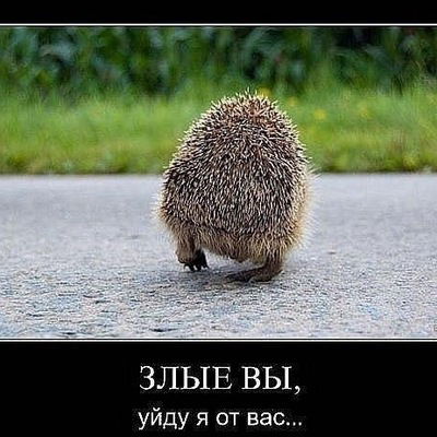 Виталий Виталий