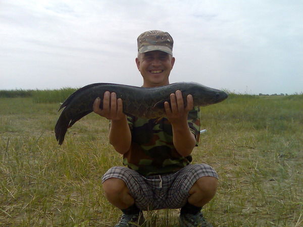 Мурат Оразгулов