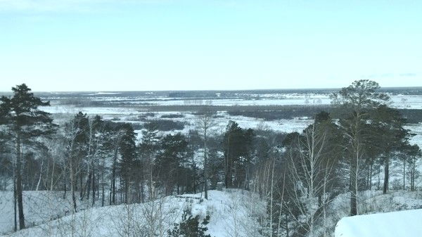 Даниил Войлошников