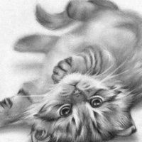 Ника Ламина