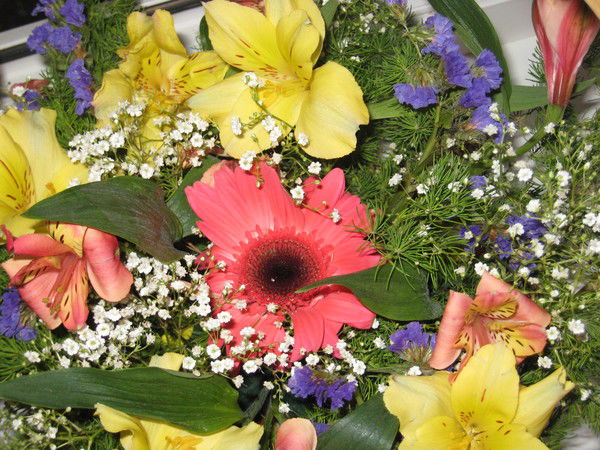 Зиля Габитова