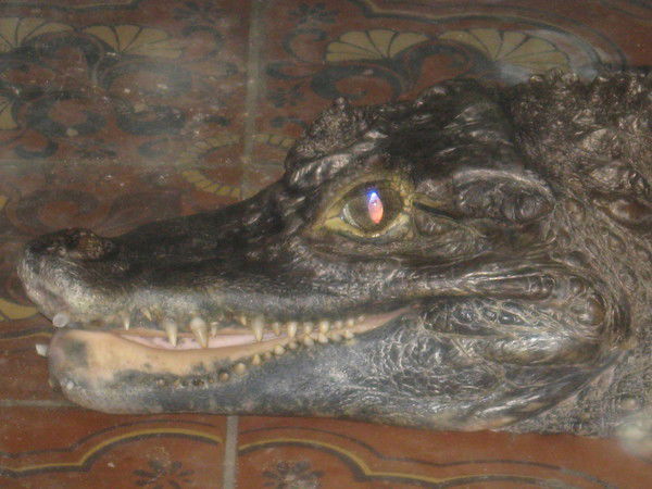 Александр Хасанов