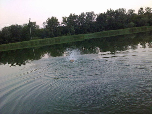 Тимур Сактаганов