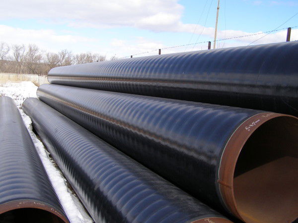 Дмитрий Лисовский