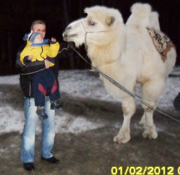 Виталий Харин