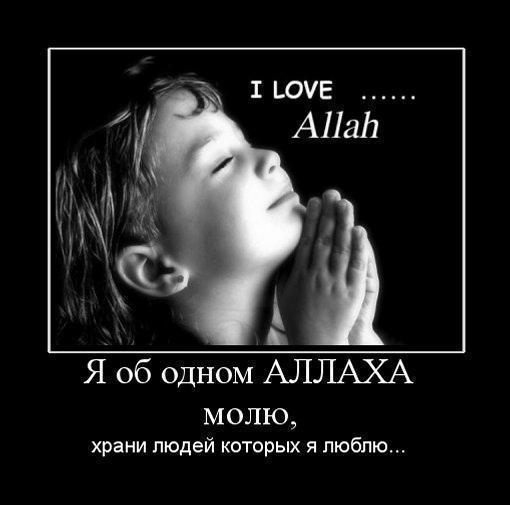 ~*~*~Karligash Aitenova~*~*~