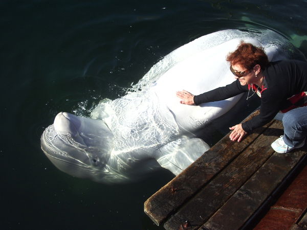 Наталья Беляк