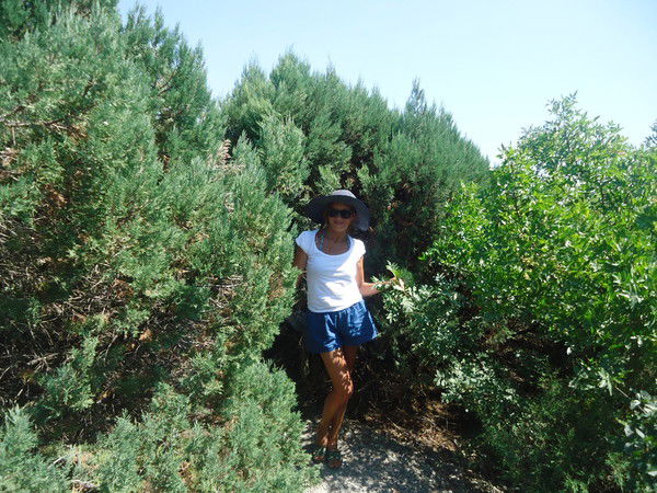 Света Левина